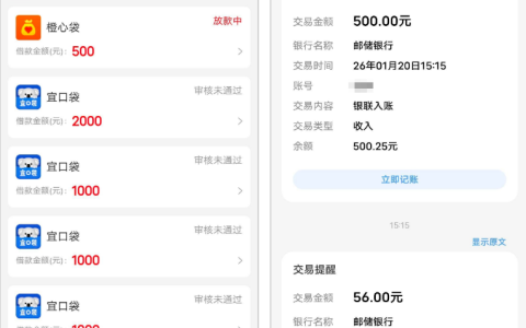 宜口袋橙心贷 500 元下款经历：呆账资质也获批，会员费扣除及到账时效解析