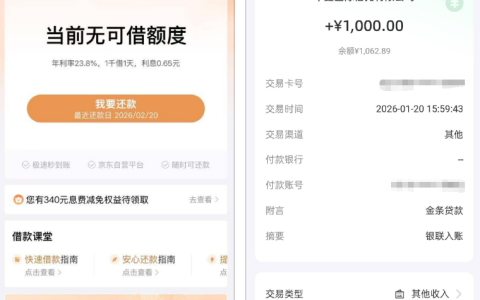 京东金条首次开通 1000 元下款：换手机申请成功，征信修复后高查询也获批