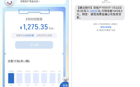 建信消费金融贷款申请体验：流水达标后秒批秒放，12 期还款细节全解析