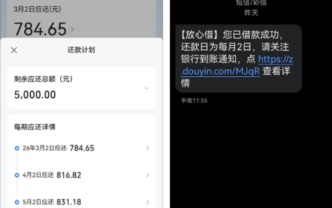 抖音放心借成功下款5000元实测：6期免息背后的提额技巧与群友真实反馈分析
