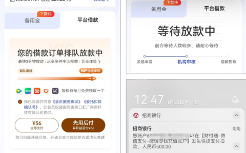 宜口袋与橙心袋500元放款难题破解：别在小程序瞎点了，群里老哥实测必须回归本体申请才稳