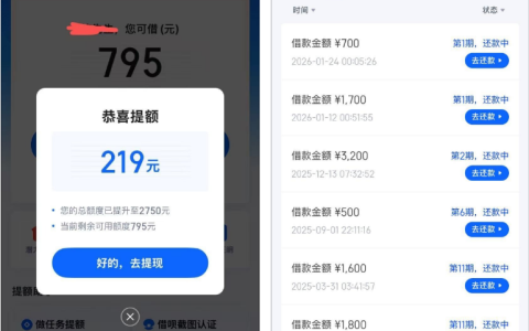 信用飞循环额度可提额至 2750 元 部分用户顺利下款 700 元 网友分享退卡拉黑、提现失败等使用体验