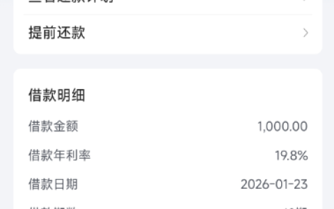 放心借逾期后意外解锁 1000 元额度成功下款 抖音月付遇资质变化限制使用 网友分享使用及重开经验
