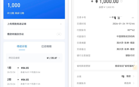 滴水贷小程序借款实测：资质偏花 + 曾有逾期结清，跟风申请 1000 元 12 期秒批到账体验