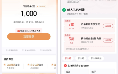 京东账号注销五天后重新注册 意外开通此前未获资格的白条与金条 网友分享实用体验