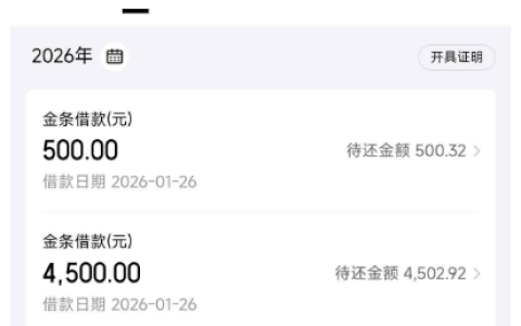 京东金条 5000 元借款分 6 期被拒 换 12 期后两资方分别放款 4500 元和 500 元 网友分享申请细节