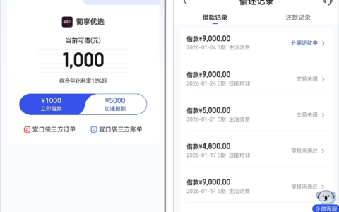 宜口袋本体获批 9000 元借款 葡享卡 8 笔可续推 逾期征信更新后借款成功经验参考