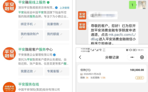 平安消费金融下款实测：客服电话全程指导微信小程序操作，30 分钟到账 10 万，账户数与查询次数这些资质要求要留意