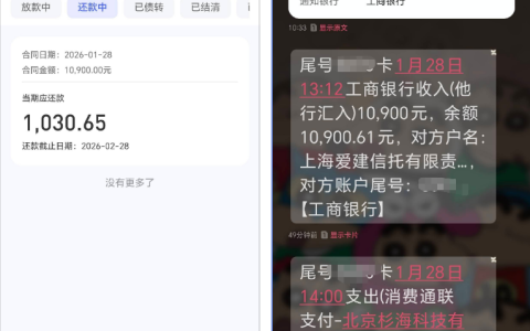 有逾期史也能成功下款？宜享花真实下款案例拆解 含查询次数、账户数量等关键申请信息