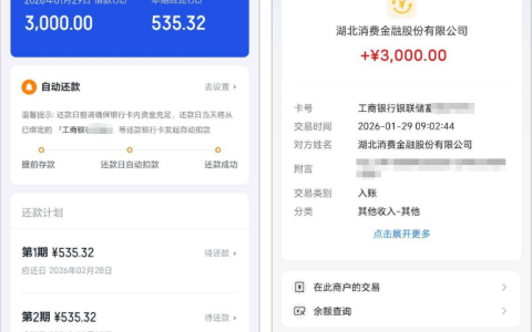 你我贷跟风申请 3000 元快速到账 湖北消金放款 299 悦享卡使用反馈及负债用户借款体验