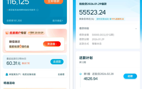 拍拍贷成功下款 50000 元 十分钟快速到账利息透明 年查询不超 10 次无逾期用户分享资质及平台反馈