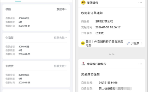 极融资质较黑用户获批 5000 元放款！此前天天申请被拒，6 期借款到账，“黑户” 定义引争议