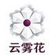 云雾花