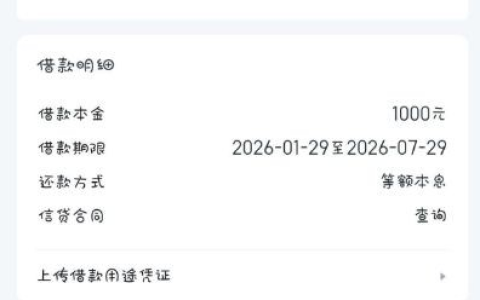 信用飞负债高 + 逾期半个月仍下款 1000 元！分 6 期还款，审批宽松？