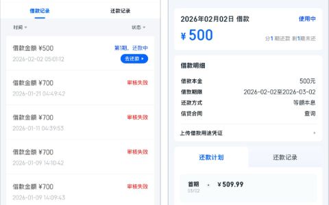 信用飞借款：1500 额度冻结 800 后，借 500 元终下款，附低大数据评分平台参考