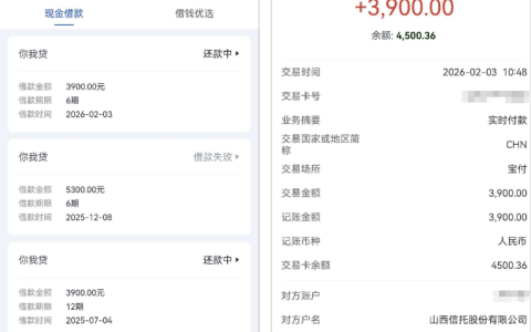 你我贷临时额度 5300：申请 3900 成功下款，仅支持 6 期，信托资方靠谱吗？