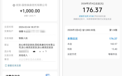 放心借秒拒后终下款 1000 元！复借稳定吗？实测体验 + 还款明细