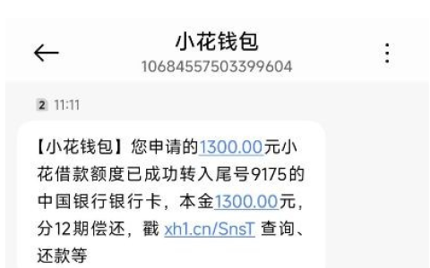 小花钱包复借实测：还款日申请成功下款 1300 元，12 期还款，近期放款通过率有提升