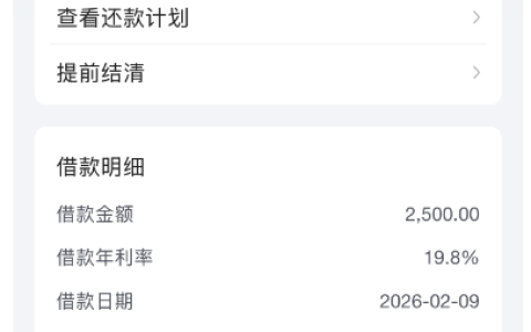 抖音放心借实测：补充资料提额至 2500 元秒下，信用卡当前逾期也能获批，资方与还款明细解析