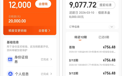 桔小花实测：中介报备后下款 8000 元，并非网传虚假产品，借款明细与申请要点解析