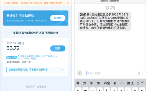 拍拍贷 600 元顺利下款至农行卡，自称万年黑户也成功下款