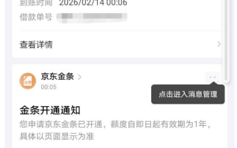 京东金条新开通获批 1000 元额度，一分钟快速到账，网友感慨年底资金周转不易