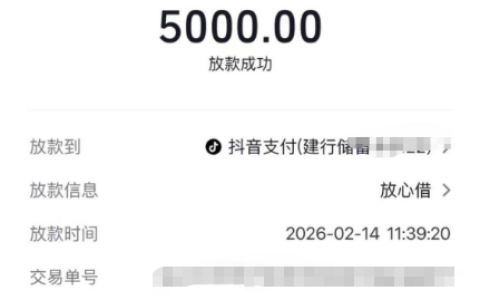 放心借秒到 5000 解除夕燃眉之急，春节资金缺口仍难掩以贷养贷的困境