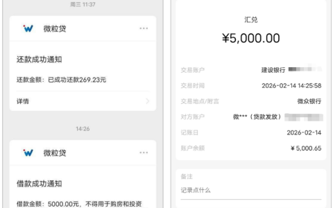 微粒贷实测 5000 元秒借秒到账；每月逾期数日仍可放款，网友分享多元使用体验