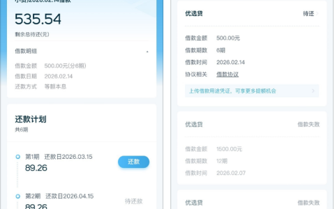 拍拍贷 500 元成功下款：广州信也小贷为资方，多次高额度申请失败后低额实测可试，分 6 期等额本息还款