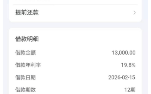 抖音放心借渤海银行放款 13000 元秒到账，花户申请的资质与细节参考