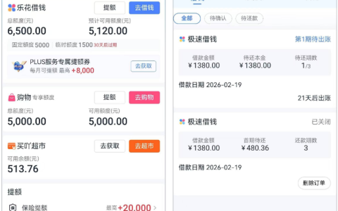 分期乐注销重开遇普通渠道秒拒；开 500 元买吖卡成功下款 1380 元还提额