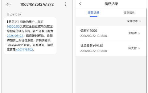 易花花恢复申请后秒下 14000 元；征信无逾期查询多也能成功放款