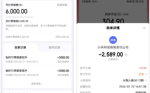 京东白条付费额度可用却受限？小米商城消费实测有了新发现