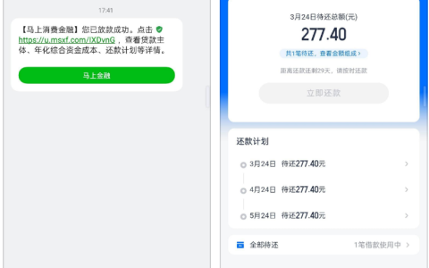 安逸花成功下款体验：放款通知及时，还款计划清晰可查