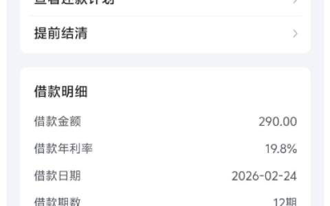 放心借复借成功下款 290 元，华润银行放款分 12 期偿还，网友直呼夸张！
