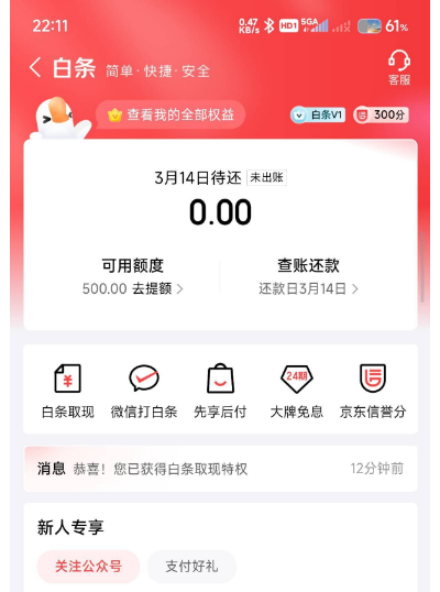 有当前逾期还能恢复白条使用吗?时隔八年可重新开通 有当前逾期还能恢复白条使用吗?时隔八年可重新开通