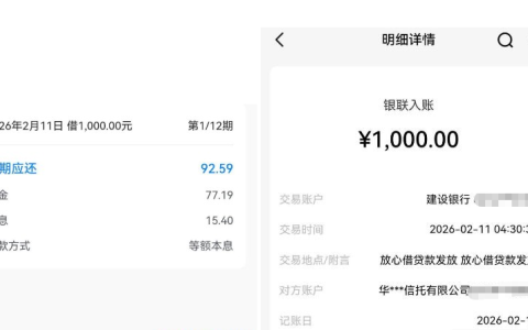 放心借半夜获批 1000 元额度，签约秒下到账，有逾期也能通过审核！
