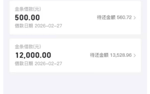 京东金条下款 12500 元分两笔放款，500+12000 操作成谜，低征信查询成获批关键！