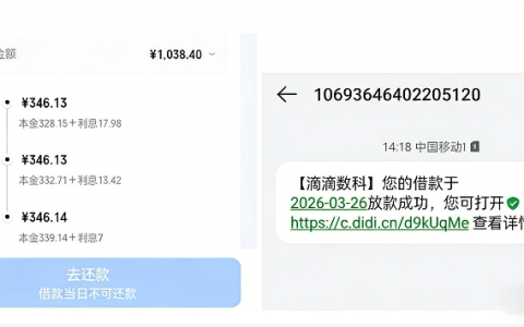 滴滴金融滴水贷多次申请终下款，1000 元额度一次提交就通过审批
