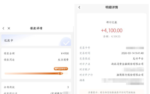 宜口袋借款成功下款 4100 元，湖北消费金融放款、产品详情与申请办理细节全解析