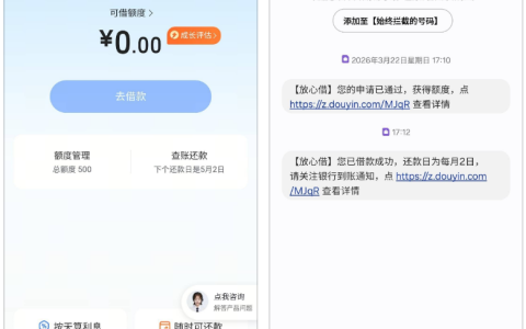 皮皮虾APP入口放心借成功下款 500 元，申请实操细节及资质要求全解析