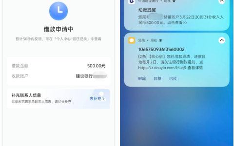 皮皮虾入口放心借 500 元借款秒批秒放，申请实操及审批影响因素全解析