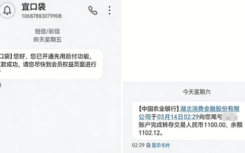 宜口袋晚间申请出额 1100 元成功到账，申请流程、放款时效与产品使用细节全解析