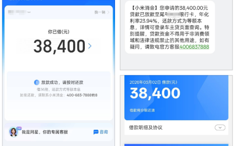 支付宝星选车贷小米消金下款 38400 元：全程线上申请，绿本签收一小时到账