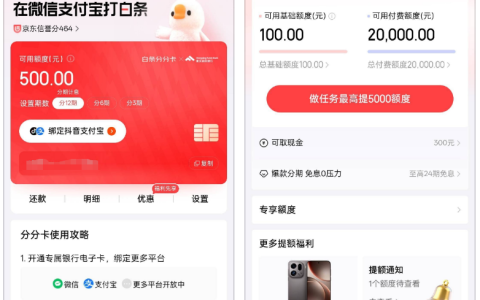 京东白条分分卡开通获 500 额度，付费额度涨至 2 万：使用难题与提额技巧全解析