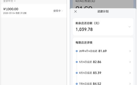 放心借秒下 1000 元：多款平台借款遇阻，12 期还款规则与申贷困境全解析