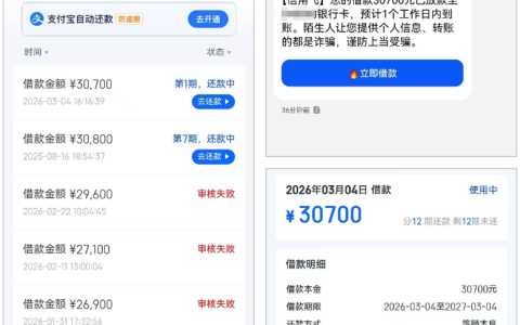 信用飞申请下款 30700 元仅十分钟：无逾期征信也能批，12 期还款规则全解析