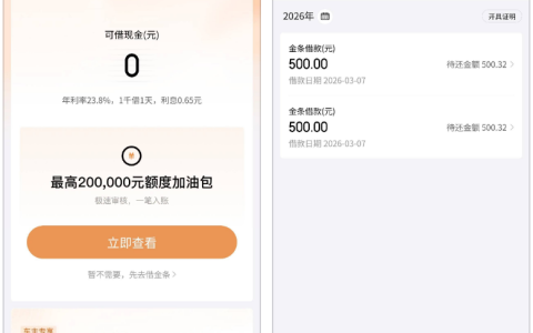京东金条成功下款 1000 元：长期无额度终获批，小额借款细节全梳理