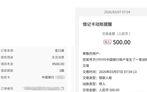 宜口袋顺利下款 500 元：近期下款成功率高，仅小额额度适配应急