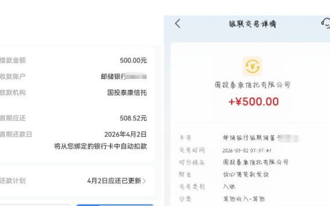 抖音放心借小号申请 500 元额度秒下：资质不佳也获批，还解锁 100 元月付额度